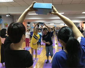 鞏固健康促進醫院工作成果，我們一直在行動——教育咨詢服務的角色與價值