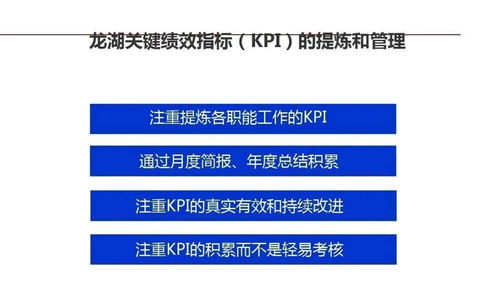 龍湖集團 以精細化運營鑄就卓越企業(yè)管理的典范